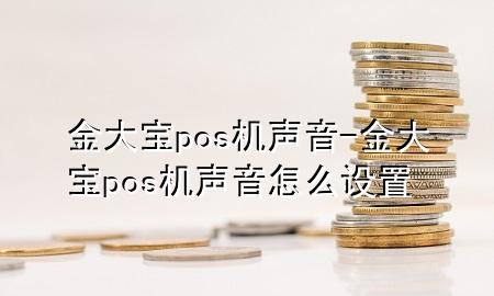 金大宝pos机声音-金大宝pos机声音怎么设置