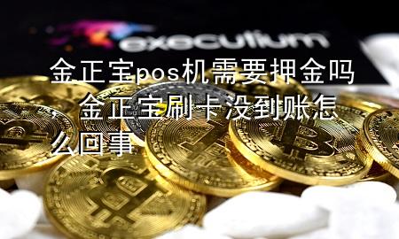 金正宝pos机需要押金吗，金正宝刷卡没到账怎么回事