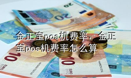 金正宝pos机费率，金正宝pos机费率怎么算