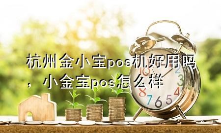 杭州金小宝pos机好用吗，小金宝pos怎么样