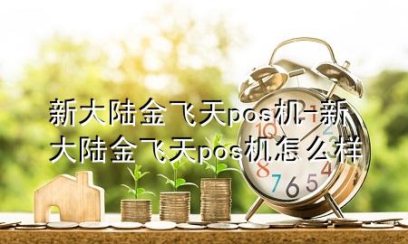 新大陆金飞天pos机-新大陆金飞天pos机怎么样