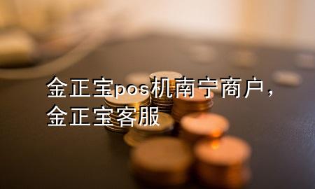 金正宝pos机南宁商户，金正宝客服