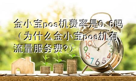 金小宝pos机费率是0.6吗（为什么金小宝pos机有流量服务费?）