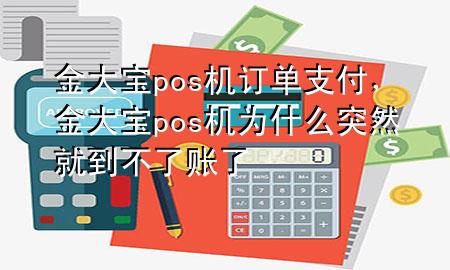 金大宝pos机订单支付，金大宝pos机为什么突然就到不了账了