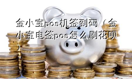 金小宝pos机签到码（金小宝电签pos怎么刷花呗）