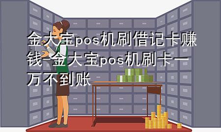 金大宝pos机刷借记卡赚钱-金大宝pos机刷卡一万不到账