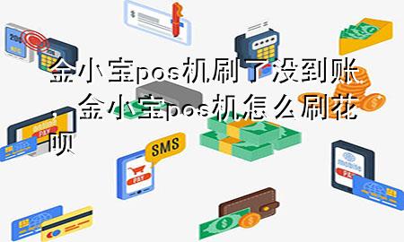 金小宝pos机刷了没到账，金小宝pos机怎么刷花呗