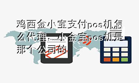 鸡西金小宝支付pos机怎么代理，小金宝pos机是那个公司的