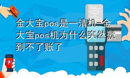 金大宝pos是一清机-金大宝pos机为什么突然就到不了账了