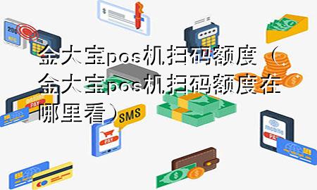 金大宝pos机扫码额度（金大宝pos机扫码额度在哪里看）