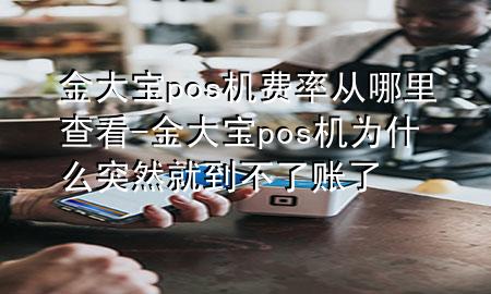 金大宝pos机费率从哪里查看-金大宝pos机为什么突然就到不了账了