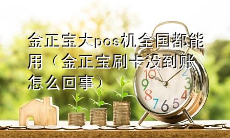 金正宝大pos机全国都能用（金正宝刷卡没到账怎么回事）