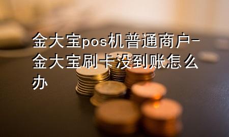 金大宝pos机普通商户-金大宝刷卡没到账怎么办