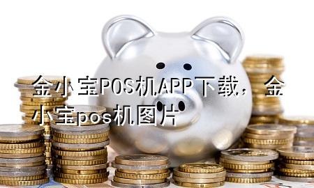 金小宝POS机APP下载，金小宝pos机图片