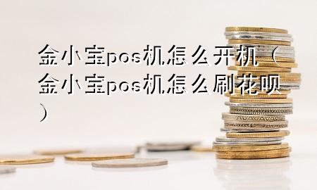 金小宝pos机怎么开机（金小宝pos机怎么刷花呗）