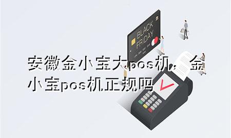 安徽金小宝大pos机，金小宝pos机正规吗