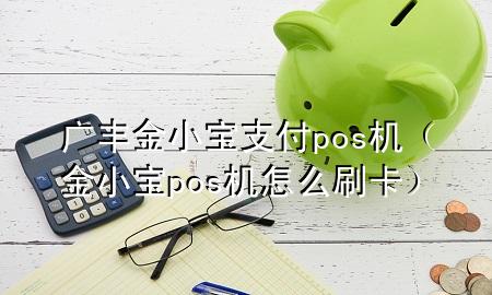 广丰金小宝支付pos机（金小宝pos机怎么刷卡）