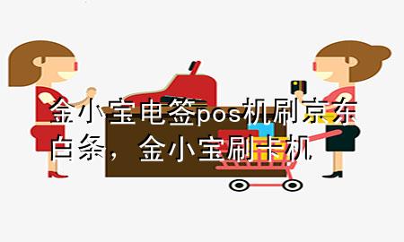 金小宝电签pos机刷京东白条，金小宝刷卡机