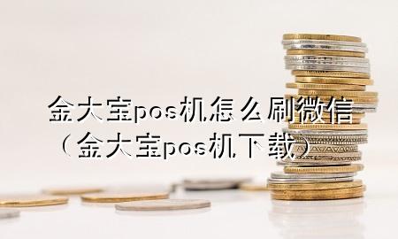 金大宝pos机怎么刷微信（金大宝pos机下载）